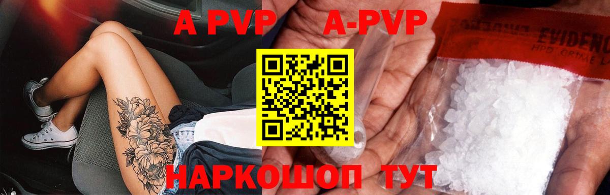 A PVP СК Новочебоксарск