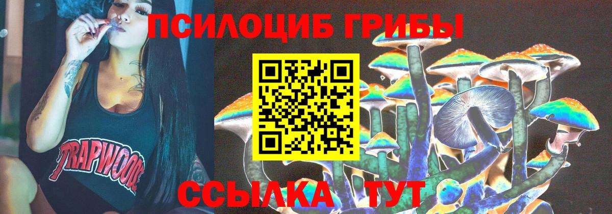 Галлюциногенные грибы Psilocybe  сколько стоит  Новочебоксарск  Вход с VPN 